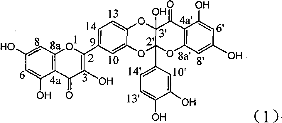 Application of quercetin dimer flavone for preparing anti-oxidation medicines