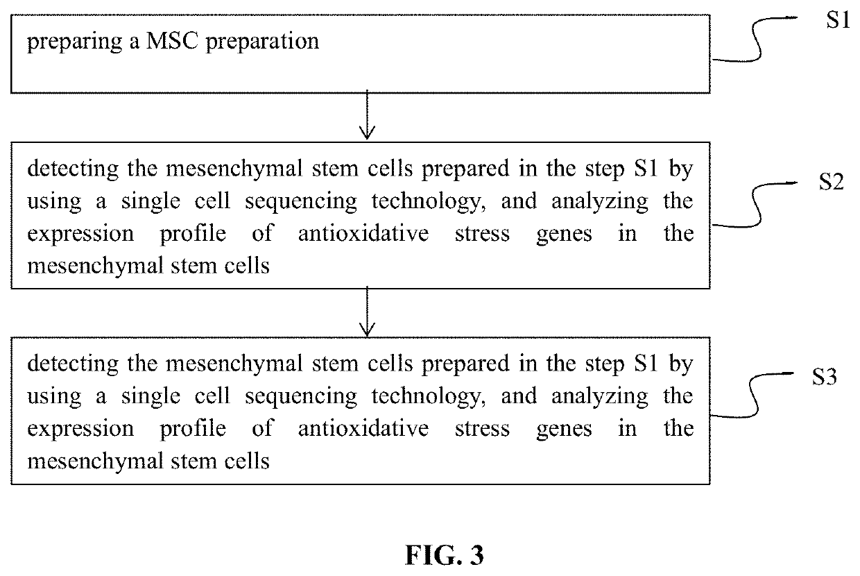 Use of mesenchymal stem cells in the treatment of viral infections and/or complications caused by viral infections