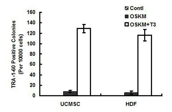 Method for efficiently inducing reprogramming of human body cells into pluripotent stem cells