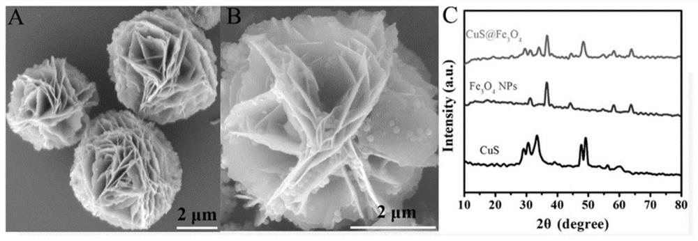 Self-driven catalyst for degrading tetracycline based on photo-Fenton reaction as well as preparation and application of self-driven catalyst