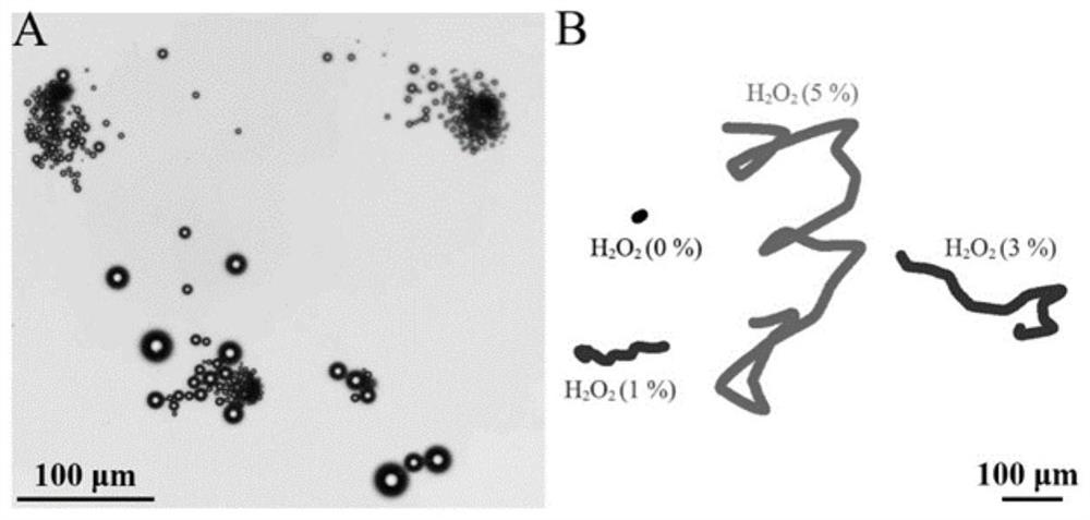 Self-driven catalyst for degrading tetracycline based on photo-Fenton reaction as well as preparation and application of self-driven catalyst