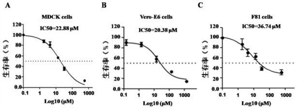 Application of compound to preparation of drug for treating and preventing novel coronaviruses and influenza viruses