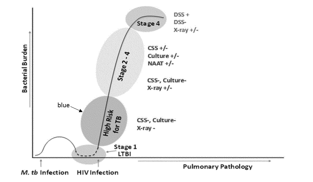 Peptides of m. tuberculosis for a screening test for HIV positive patients at high-risk for tuberculosis