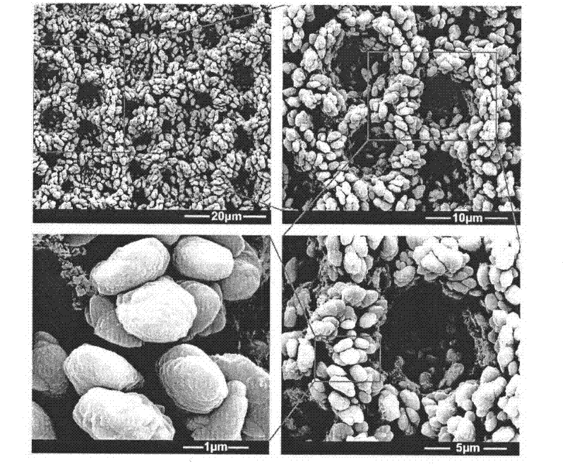 Method for preparing high-purity porous iron film by adopting electrochemical method