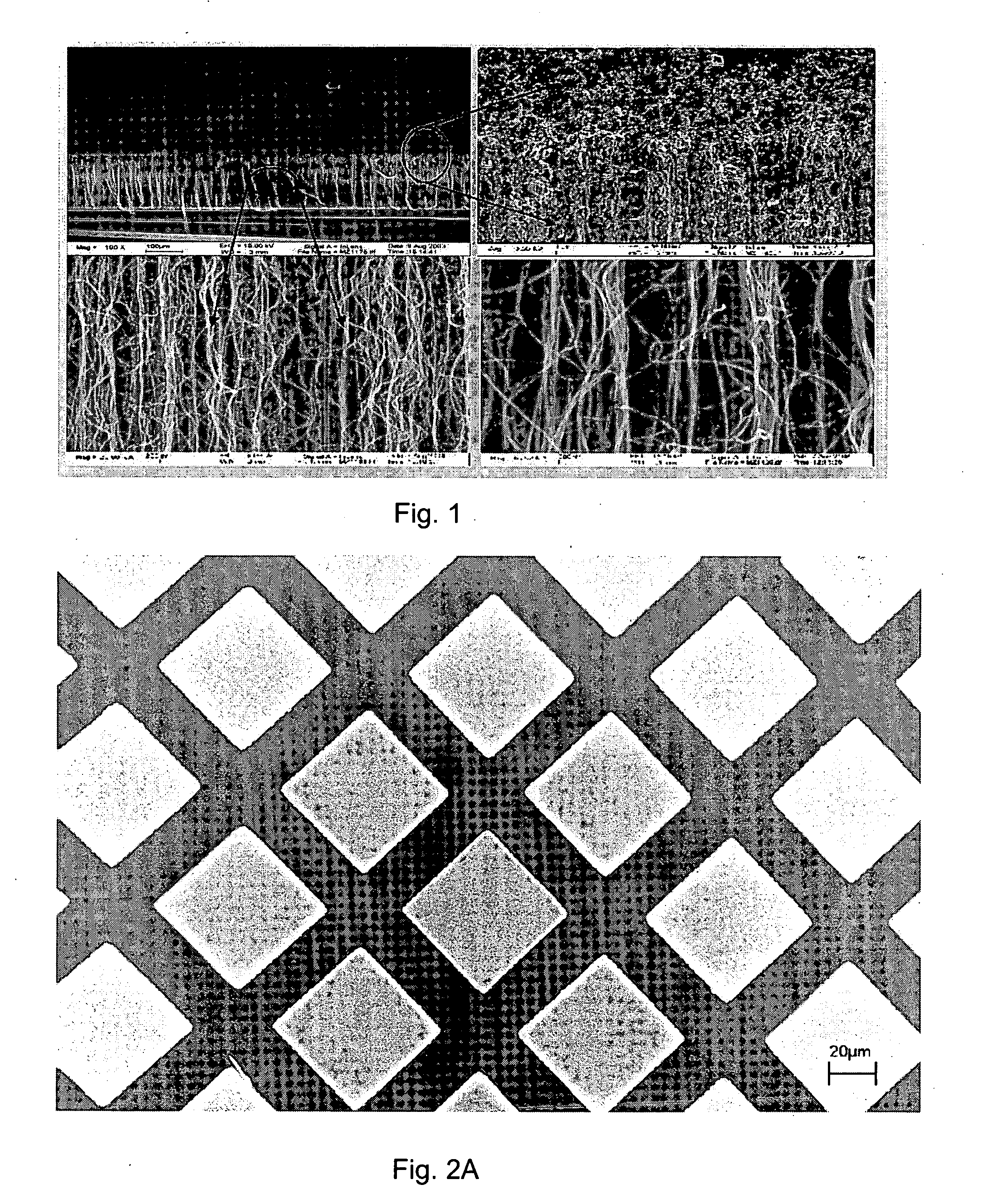 Method and apparatus for transferring an array of oriented carbon nanotubes