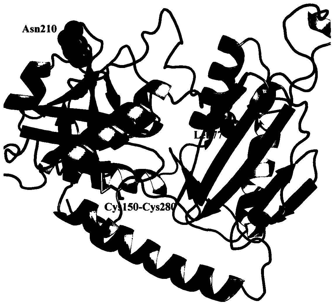A kind of ω-transaminase mutant and its application