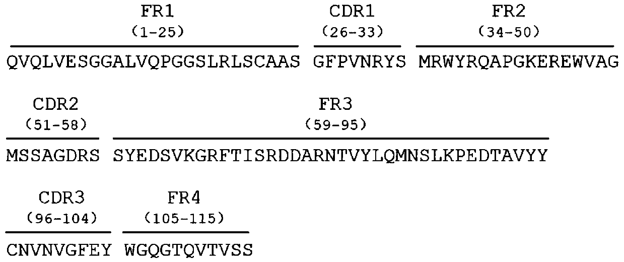 Anti-HET-2 heavy chain antibody and application thereof