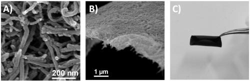 Nano-network structural carbon material with carbon nanotube core@functional amorphous carbon shell unit and preparation method and application thereof
