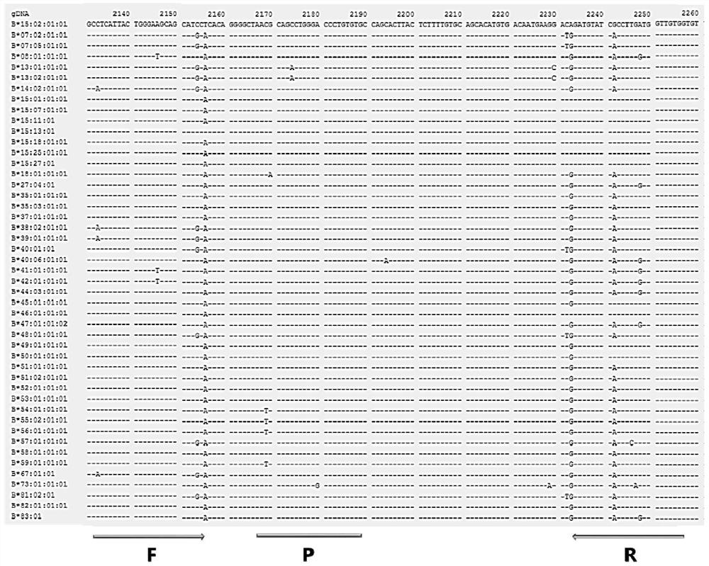 Nucleic acid composition for detecting HLA-B*15:02 gene as well as kit and method thereof