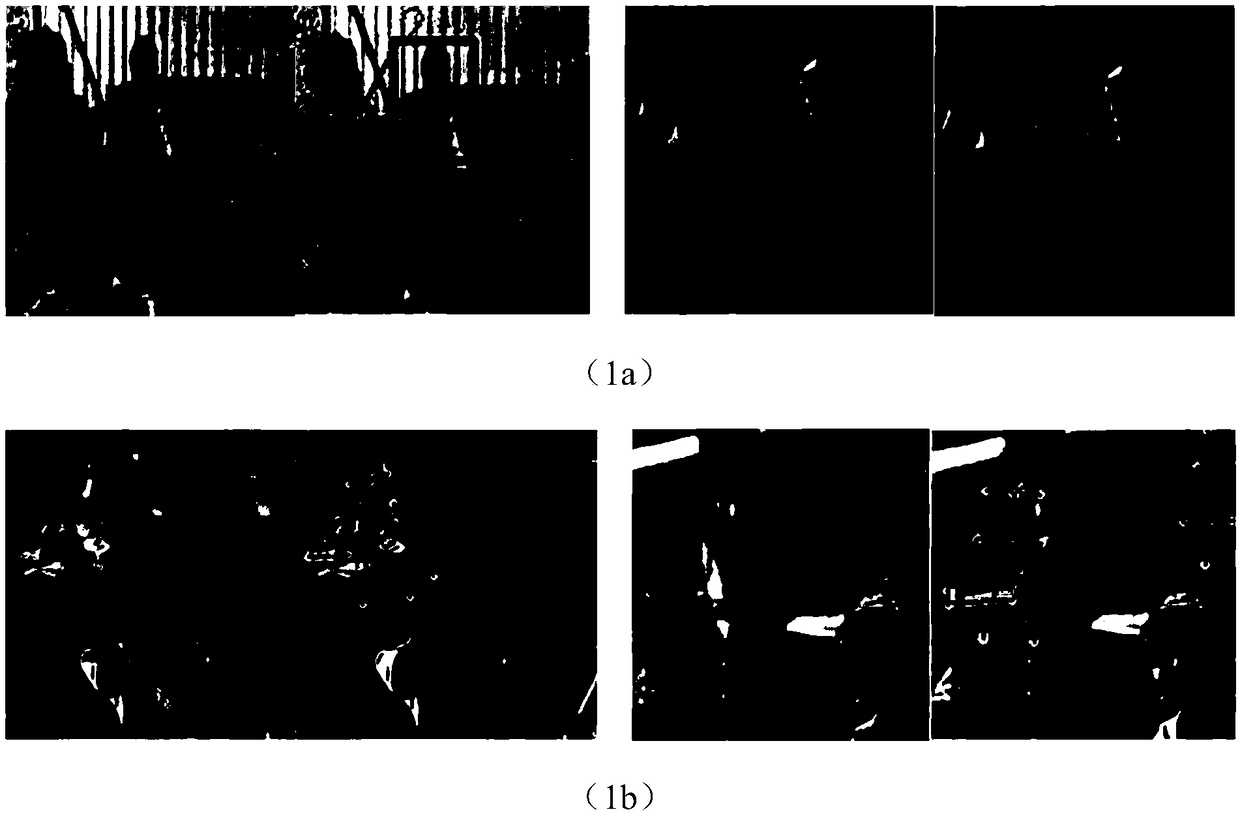 A method for hand lifter detection based on object detection and attitude estimation