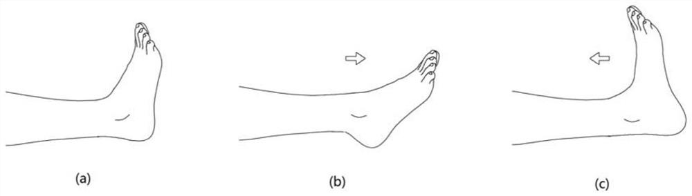 Exercise device for preventing lower limb deep venous thrombosis