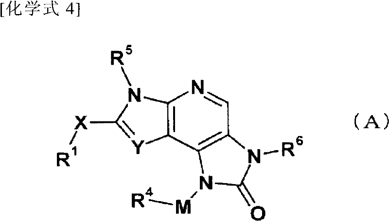 Fused pyrrolopyridine derivative