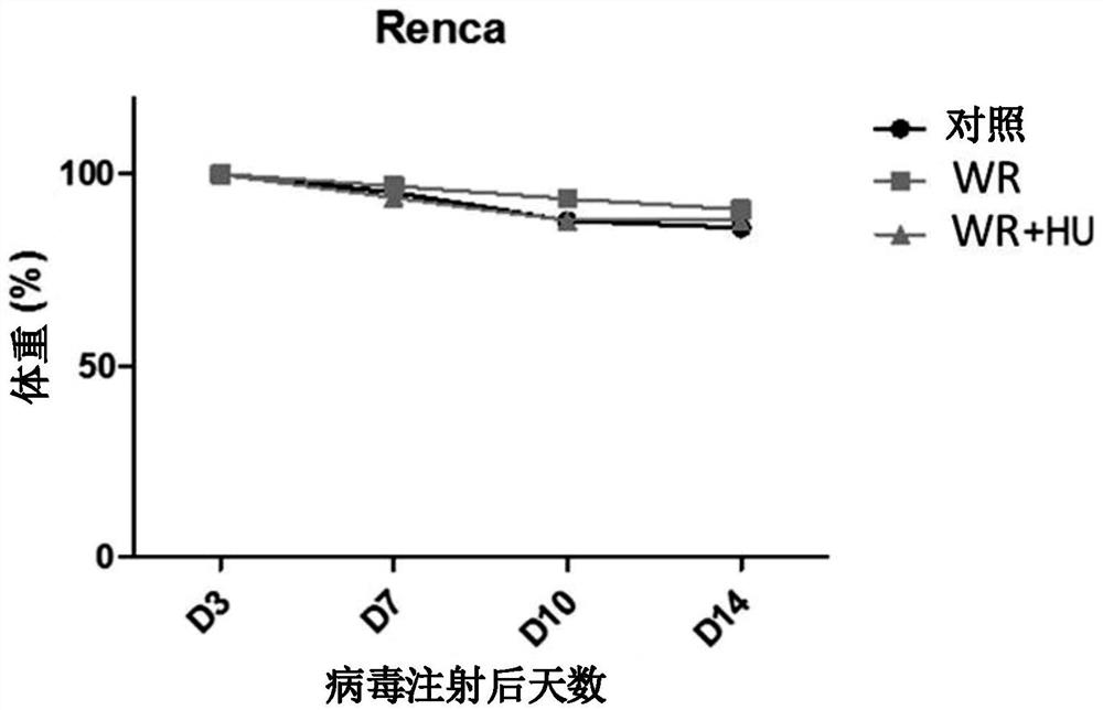 Pharmaceutical composition for treating cancer comprising vaccinia virus and hydroxyurea as active ingredients