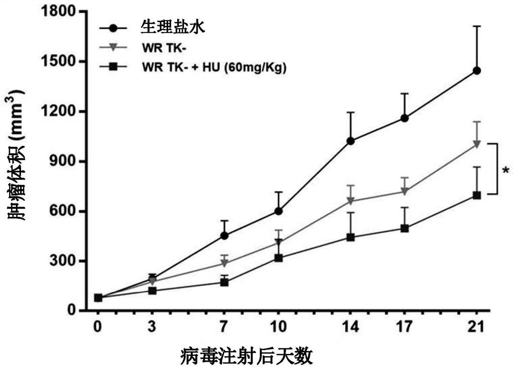 Pharmaceutical composition for treating cancer comprising vaccinia virus and hydroxyurea as active ingredients