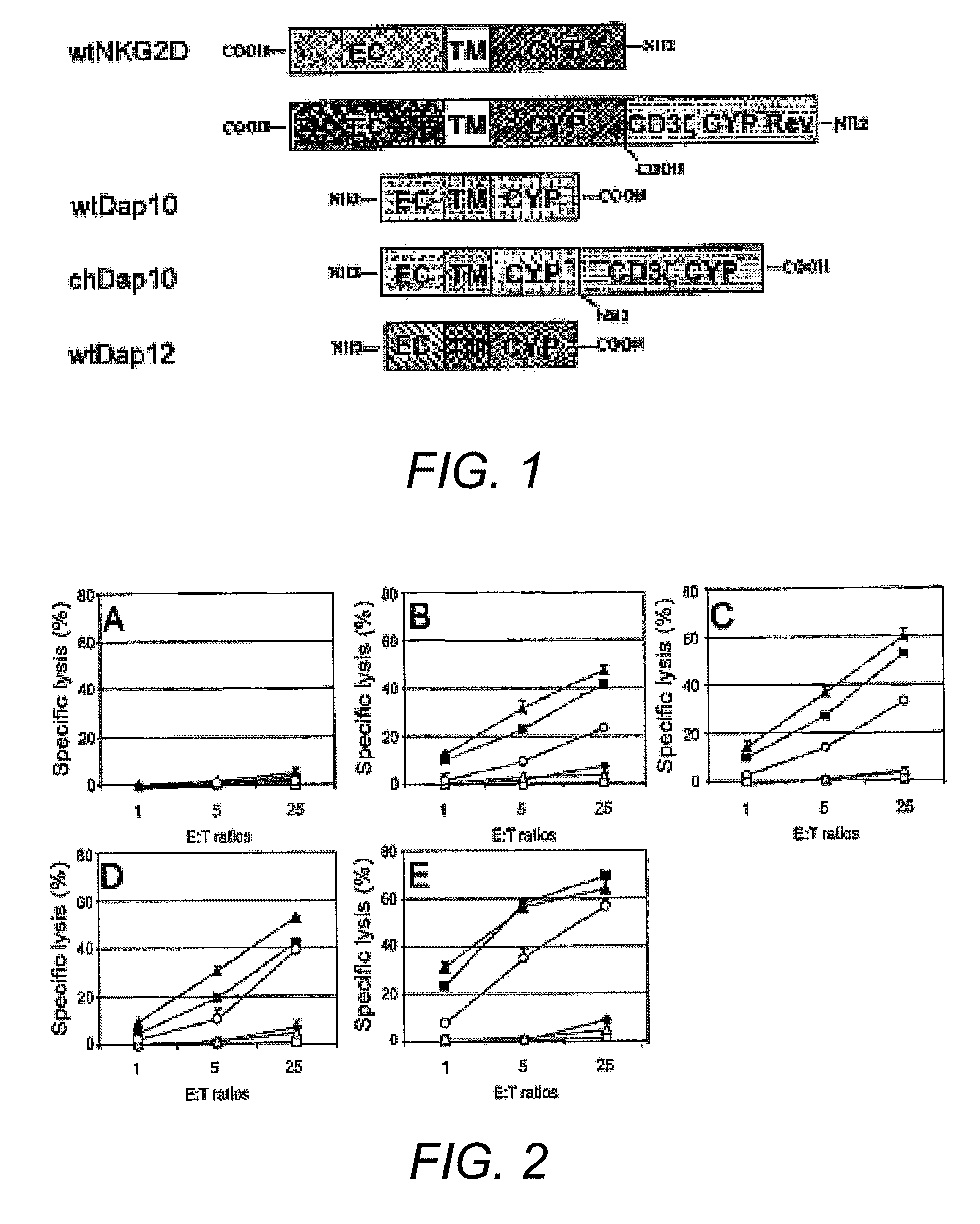 Chimeric NK receptor and methods for treating cancer
