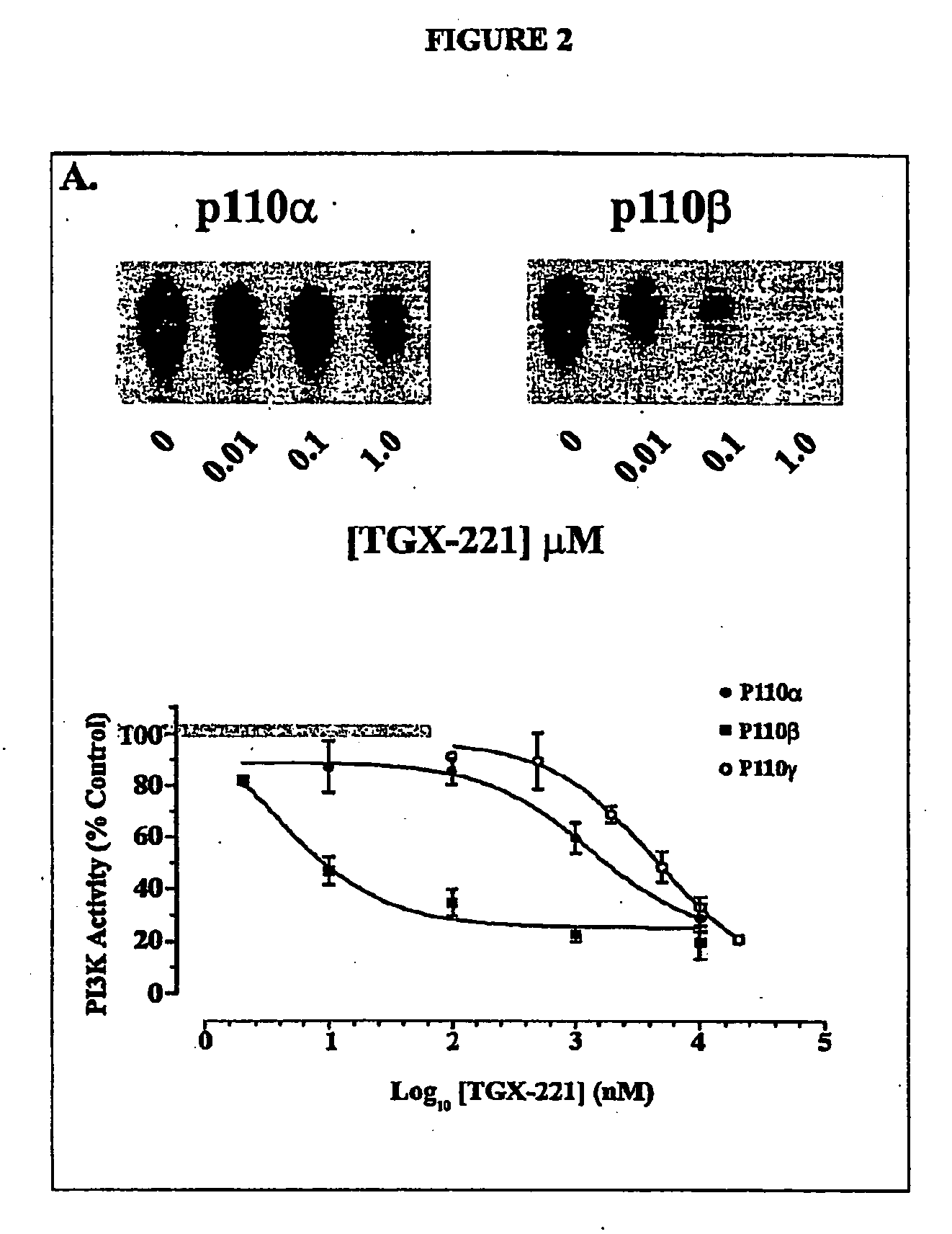 Inhibition of phsphoinostide 3-dinase beta
