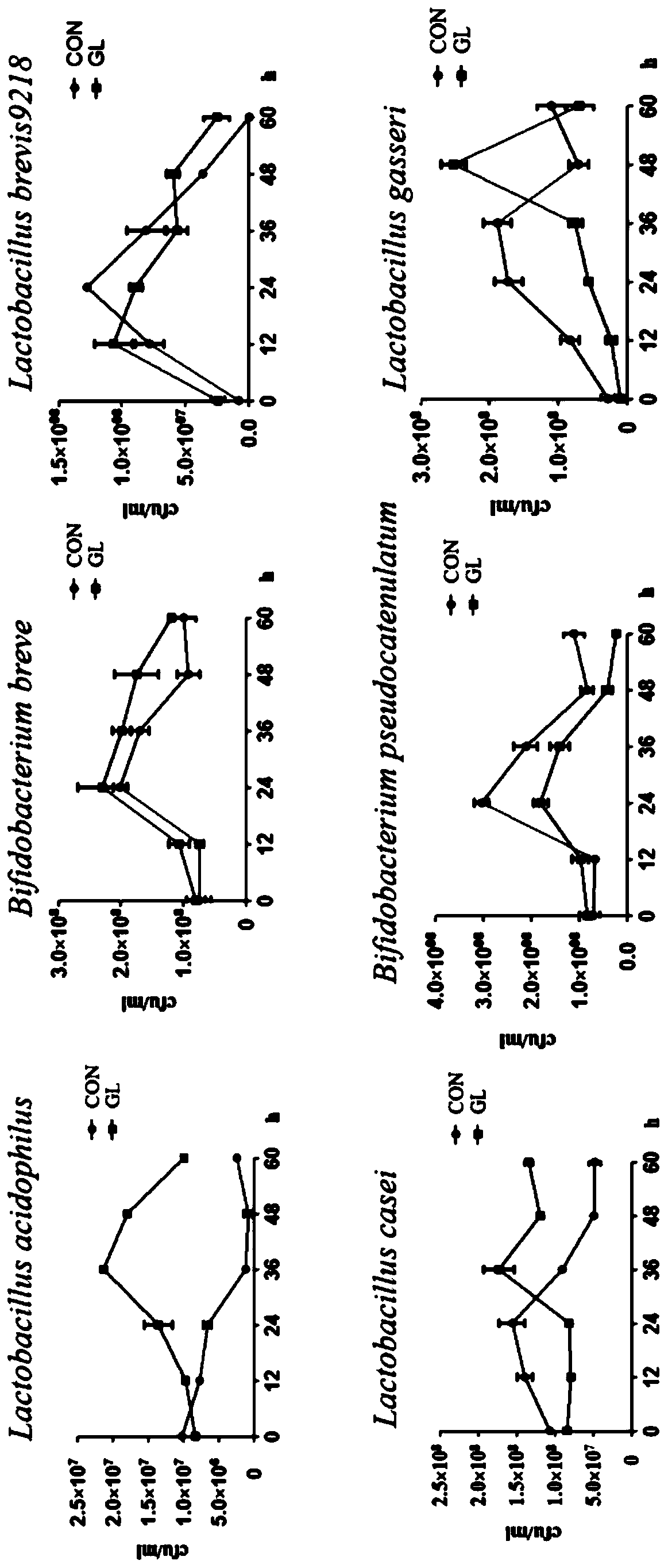 Ganoderma lucidum fruiting body composite probiotic preparation for enhancing organism immunity