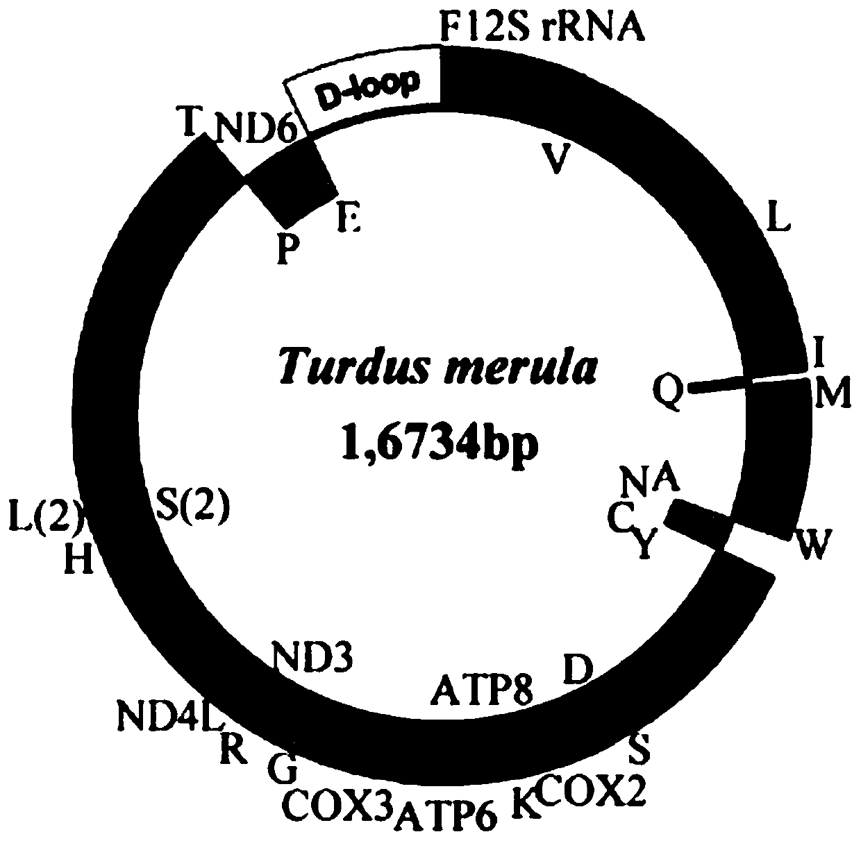 Method for establishing blackbird system development tree