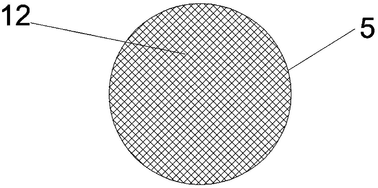 Device for separating and purifying placenta totipotent stem cells