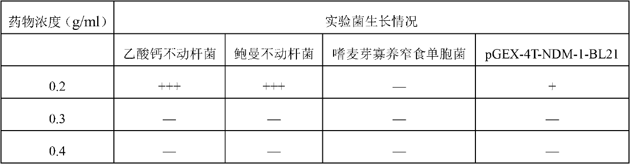 Application of Cape jasmine extractive from active components of Qingkailing for preparing multiple-resistant bacteria resistant medicine