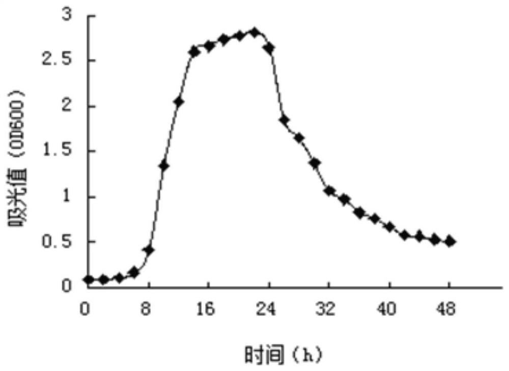 Lactobacillus plantarum with protease production capability, and application thereof