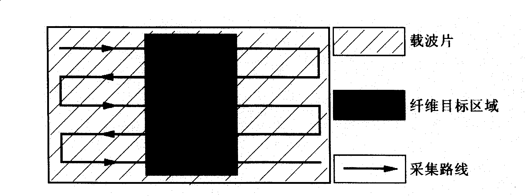 Extraction method for dimension shape characteristics of profiled fiber