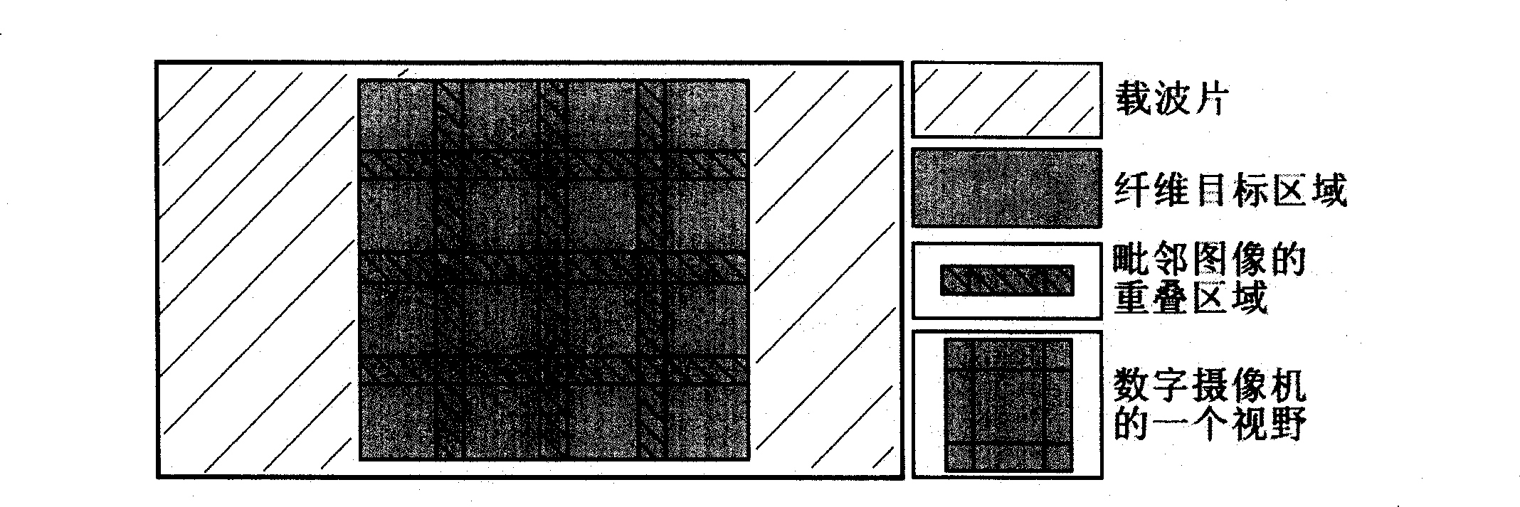 Extraction method for dimension shape characteristics of profiled fiber