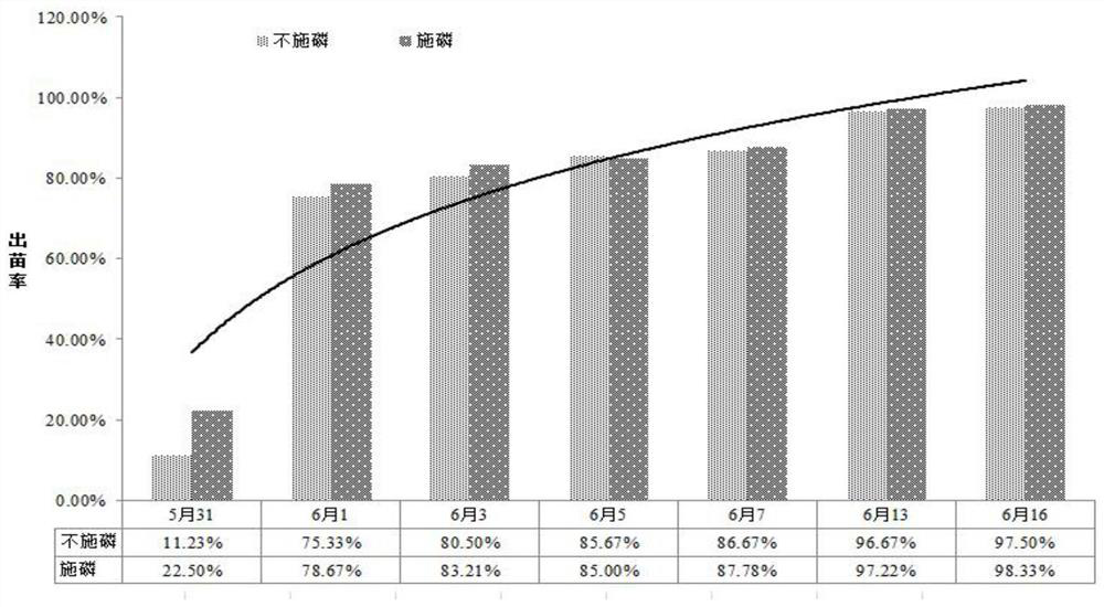 Cultivation process for improving low-temperature resistance of peanuts