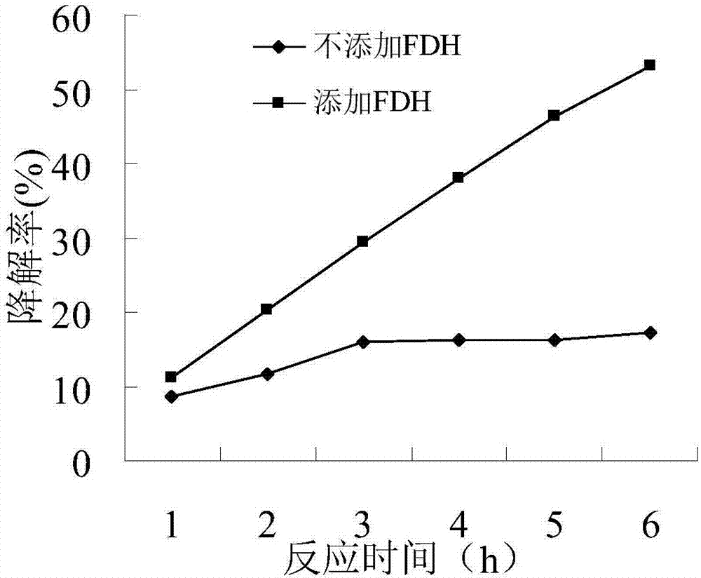 Construction method and application of formate dehydrogenase engineering strain