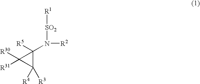 N-substituted-n-sulfonylaminocyclopropane compounds and pharmaceutical use thereof