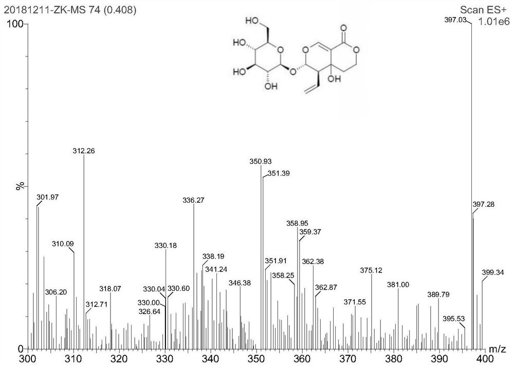 Method for detecting iridoid glycoside in gentianella turkestanorum by UPLC-MS/MS