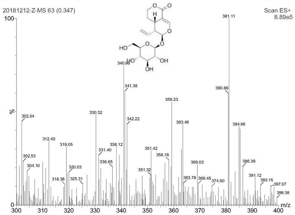 Method for detecting iridoid glycoside in gentianella turkestanorum by UPLC-MS/MS