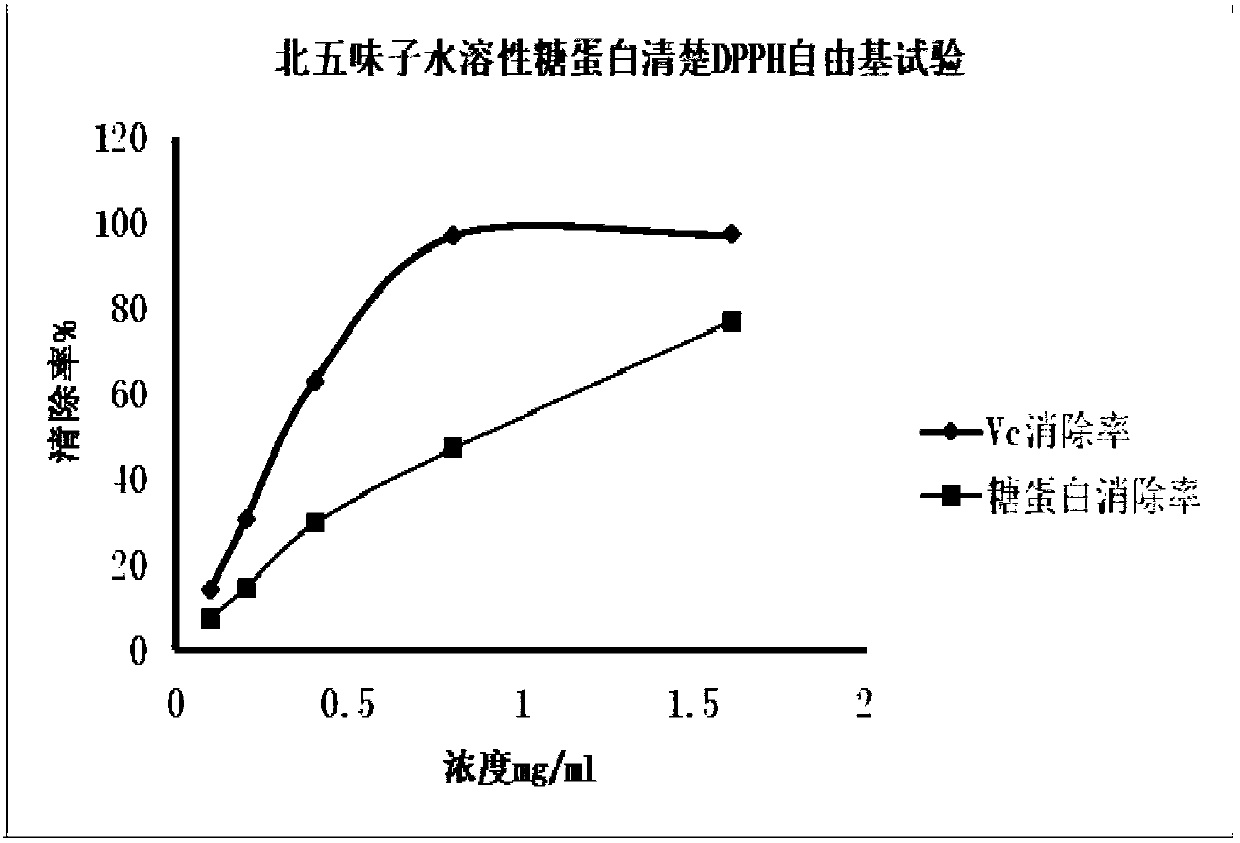 Fructus schisandrae water-soluble glycoprotein extract as well as preparation method and application thereof