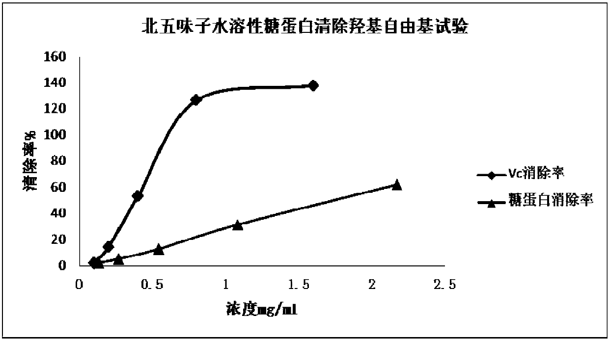 Fructus schisandrae water-soluble glycoprotein extract as well as preparation method and application thereof