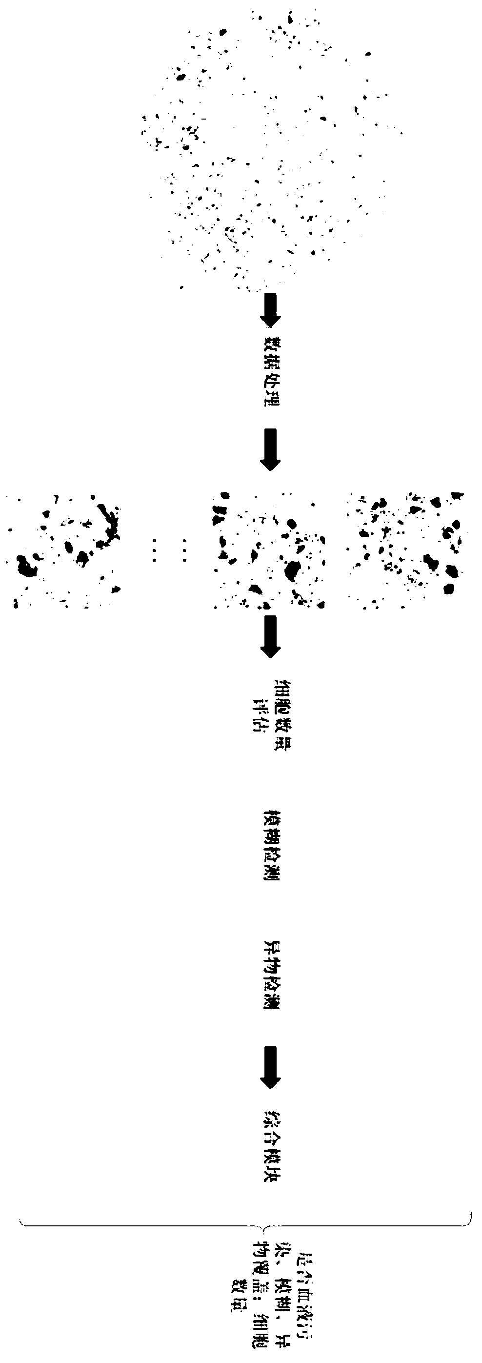 Cervical liquid-based cell slice quality detecting system