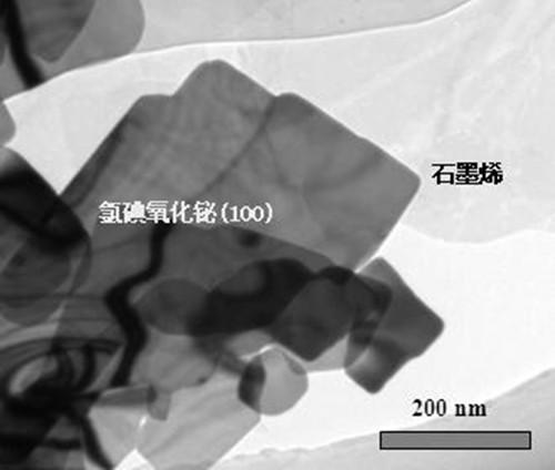 Chlorine bismuth oxyiodide (010)/graphene heterostructure and preparation method and application thereof