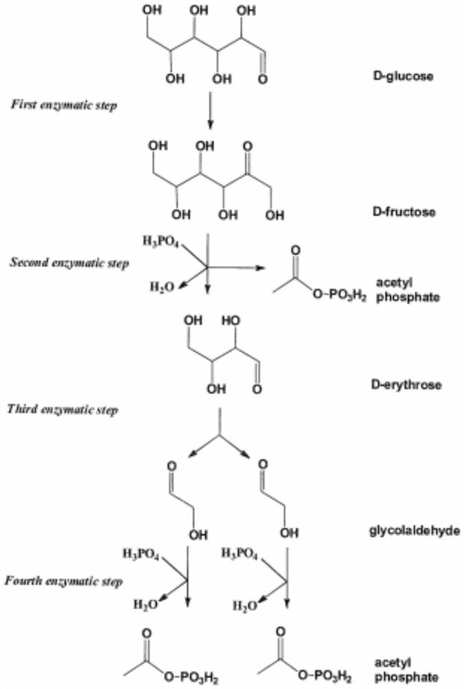 Preparation method of allose 6-phosphate, acetyl phosphate and acetyl coenzyme A