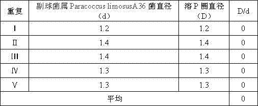 Paracoccus and its bacterial agent, preparation method and application