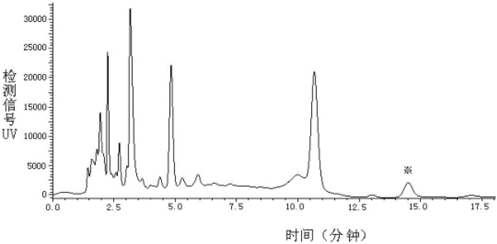 Method for extracting and separating cordycepin