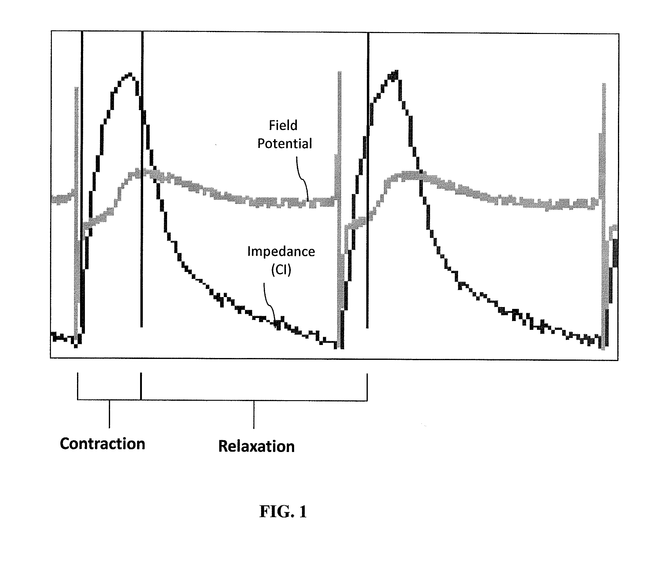 System and method for monitoring cardiomyocyte beating, viability, morphology, and electrophysiological properties