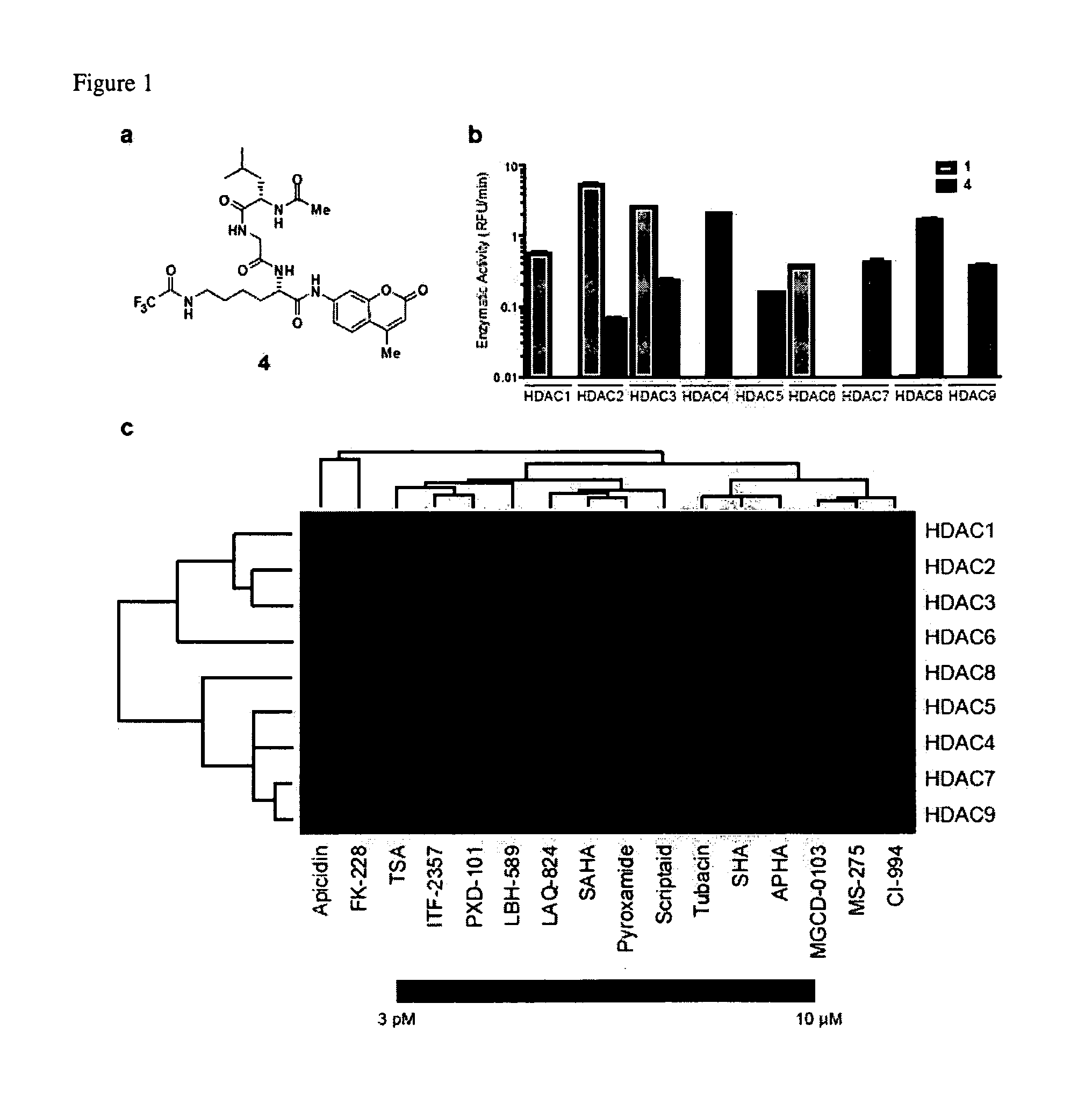 Class- and isoform-specific HDAC inhibitors and uses thereof