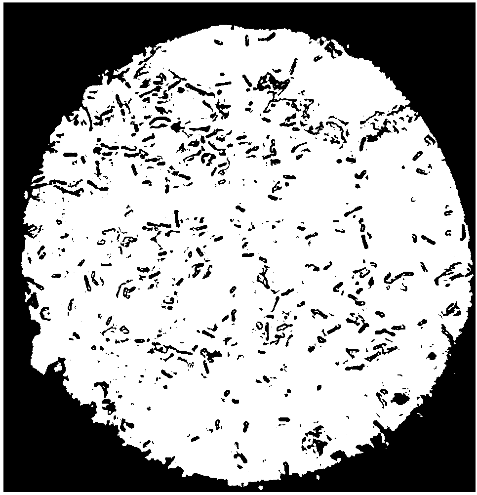 Momordica grosvenori endophyte strain capable of producing cyclodextrin glycosyltransferase as well as screening method and application of momordica grosvenori endophyte strain