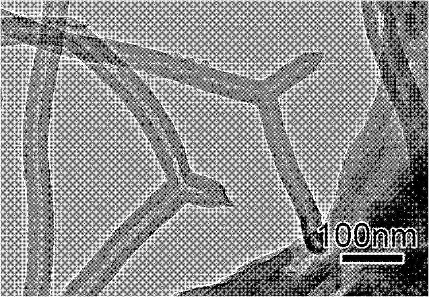 Method for preparing branched carbon nano tube by using dimethyl sulphide as carbon source