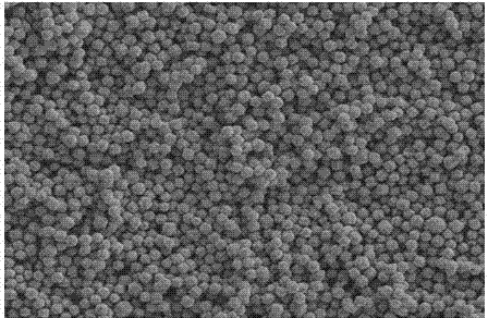 Preparation method of carbon-coated potassium phosphotungstate microcubic composite