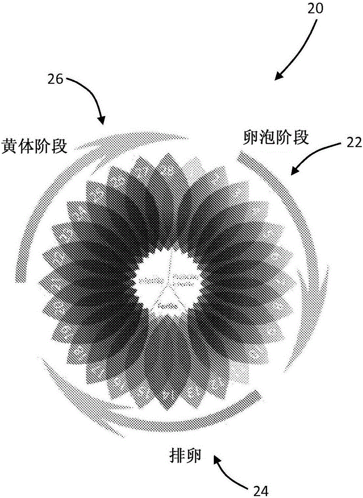 Health state monitoring device