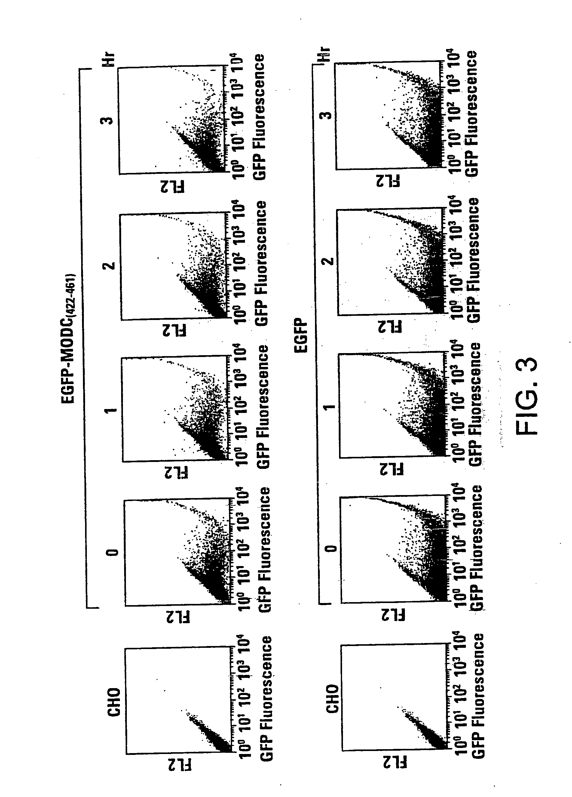 Rapidly degrading GFP-fusion proteins and methods of use