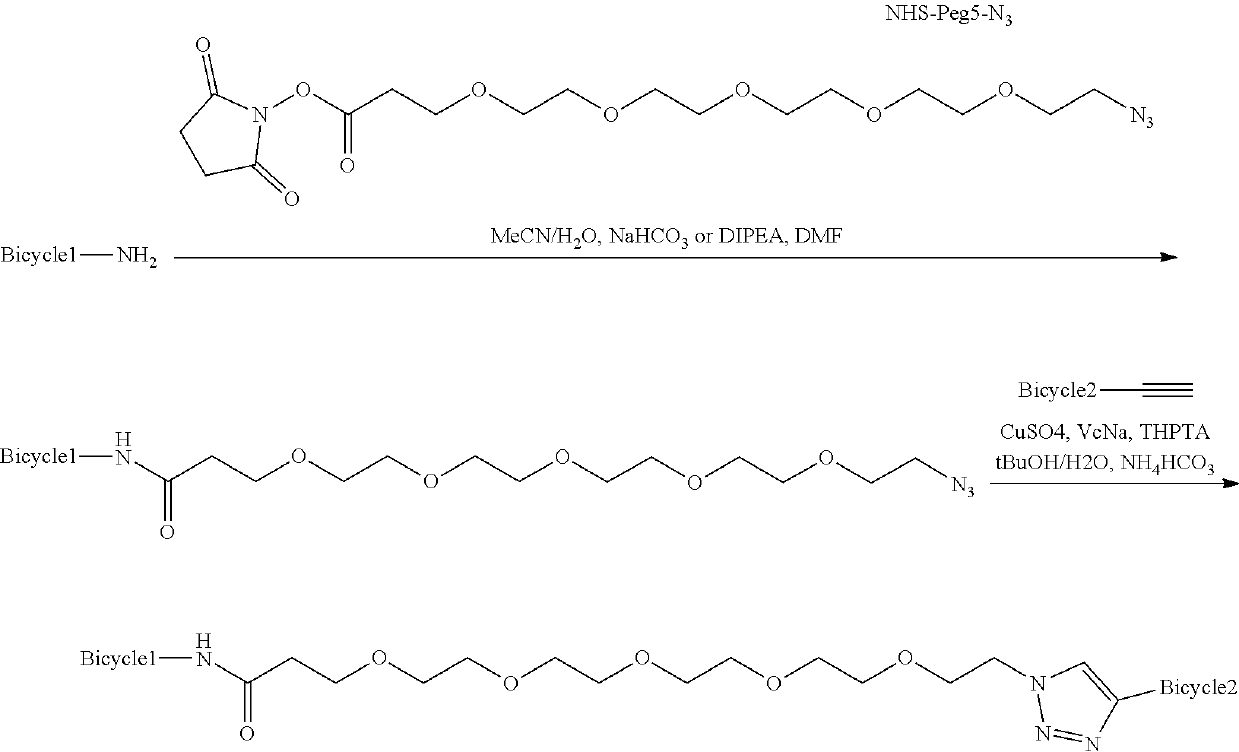 Heterotandem bicyclic peptide complexes