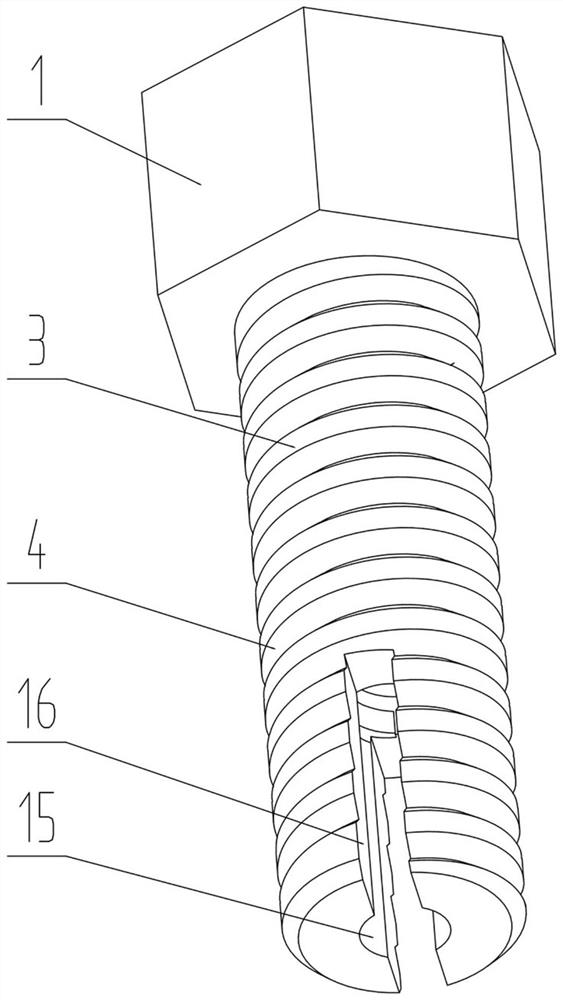 Bolt with double hexagonal bolt heads