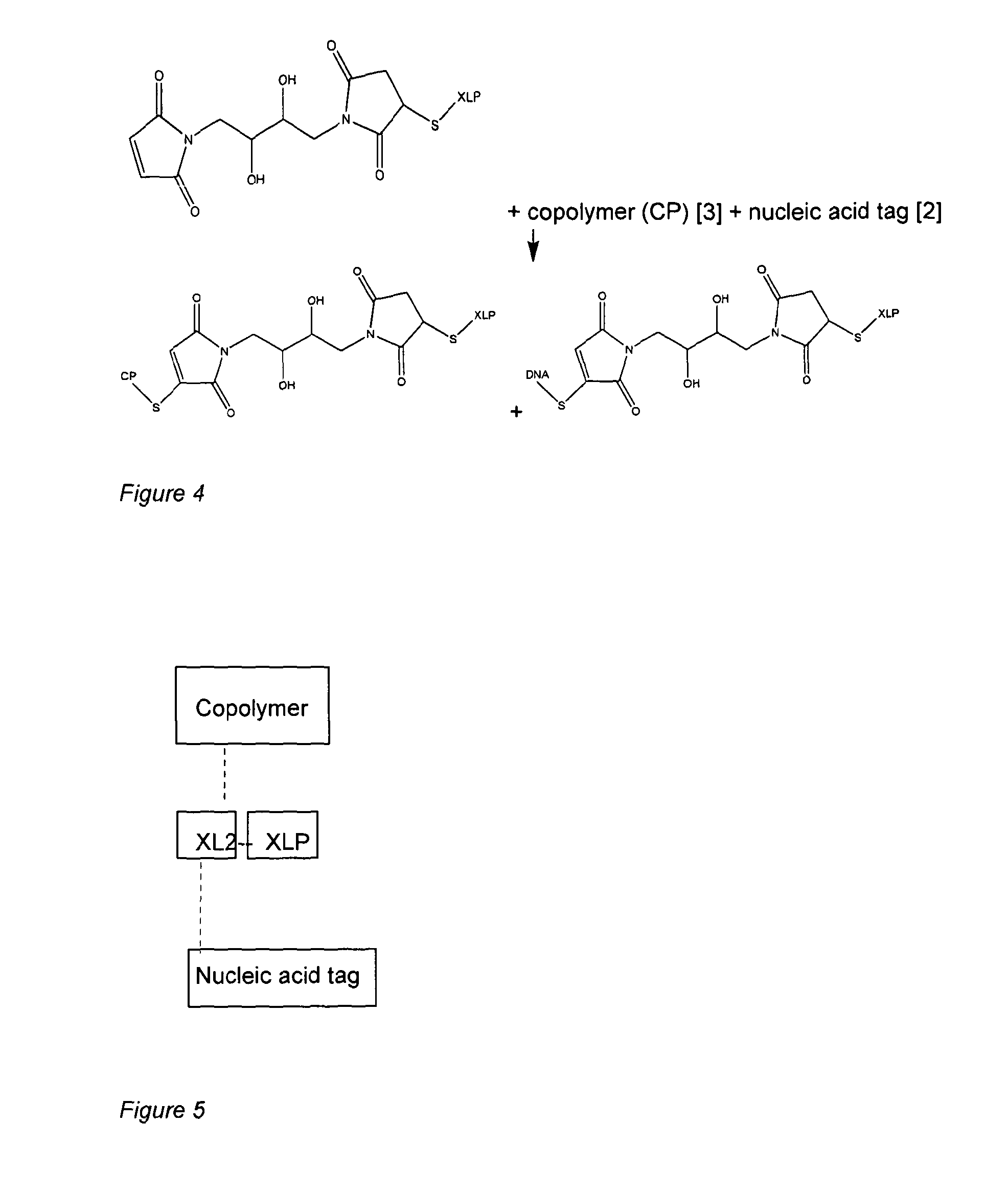 Polymer Particle