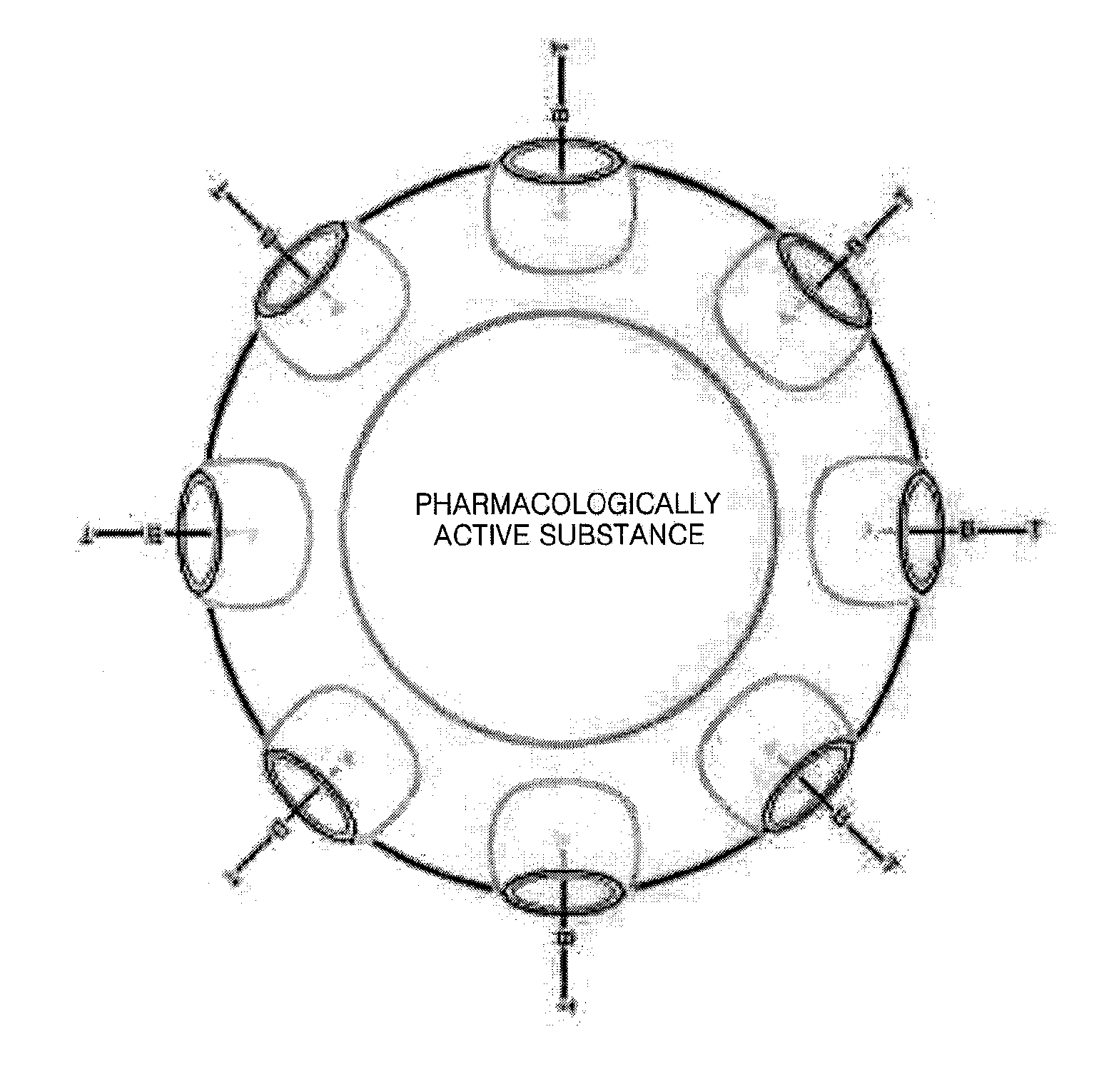 Polymer Capsule and Process For the Preparation Thereof